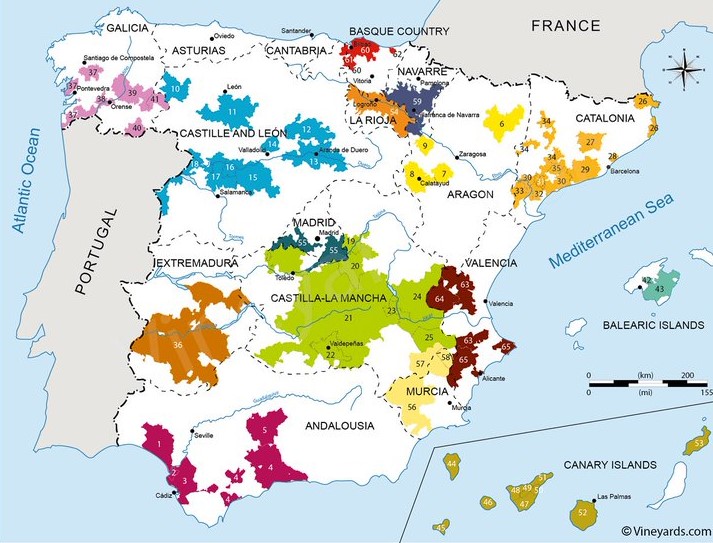 Zonas vinícolas en España Vino