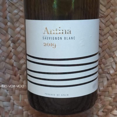 Antina “Sauvignon blanc”